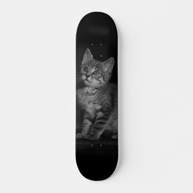 Precious Kitten Skateboard (Front)