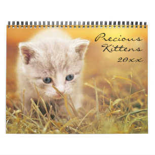 Precious Kittens  Calendar