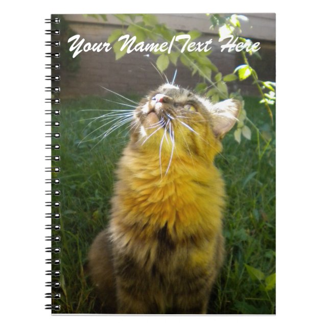 Precious Kitty Notebook (Front)