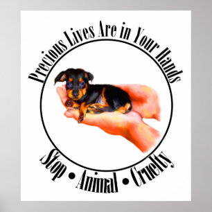 Precious Lives Poster