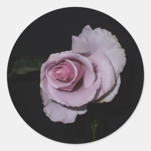 Precious Memories Sticker