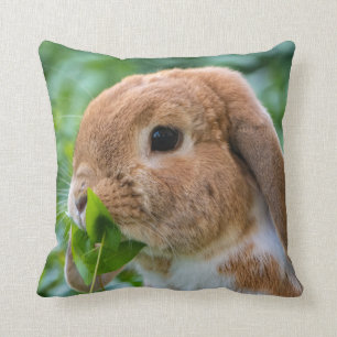 Precious Mini Lop Bunny Cushion