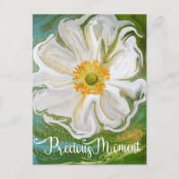 Precious moment - Anemone flower power