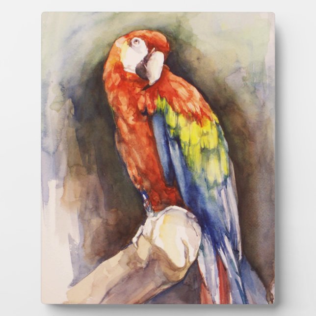 Precious Parrot  Plaque (Front)