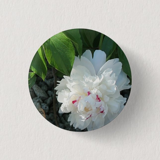 Precious Peony Button (Front)