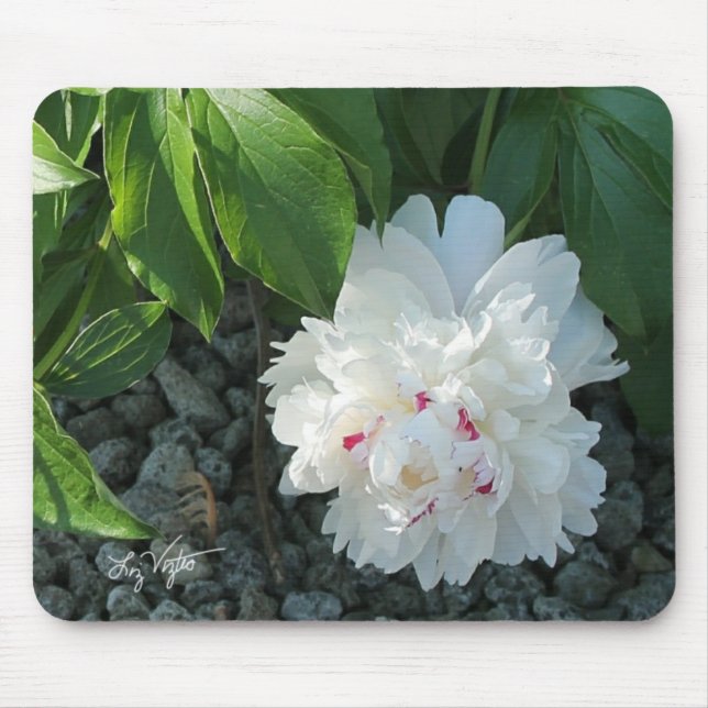 Precious Peony Mousepad (Front)