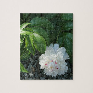 Precious Peony Puzzle