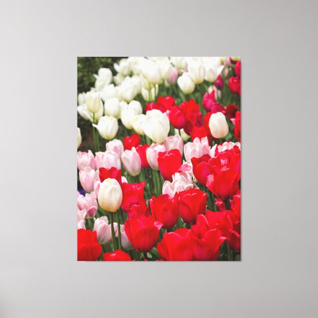 Precious Petals Canvas Print (Front)