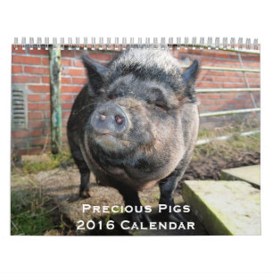 Precious Pigs 2016 Calendar
