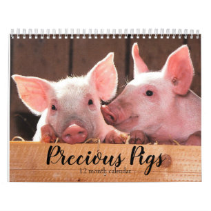 Precious Pigs 2026 Calendar