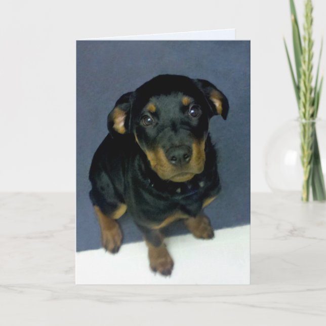Precious Rottweiler Puppy Blank Greeting Card (Front)