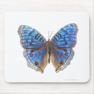 Precis rhadama mouse mat