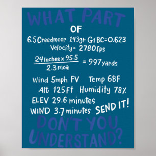 Precision Shooting Funny Gun Shooting Srts Gun Lov Poster