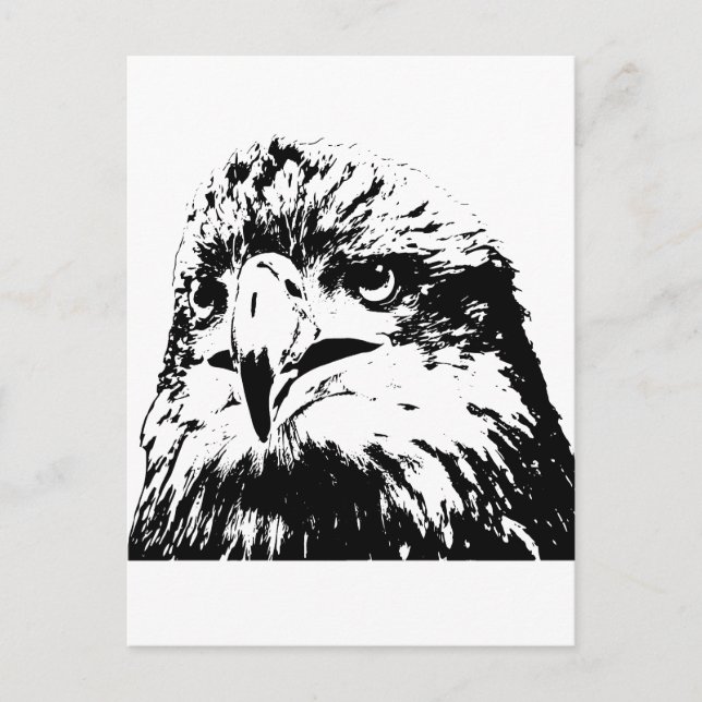 predator postcard (Front)