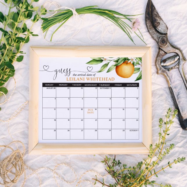 Predictions Baby Shower Cutie Oranges Poster (Creator Uploaded)