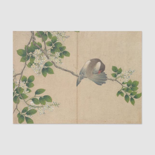 Preening Bird by Zhang Ruoai Tissue Paper (Front)
