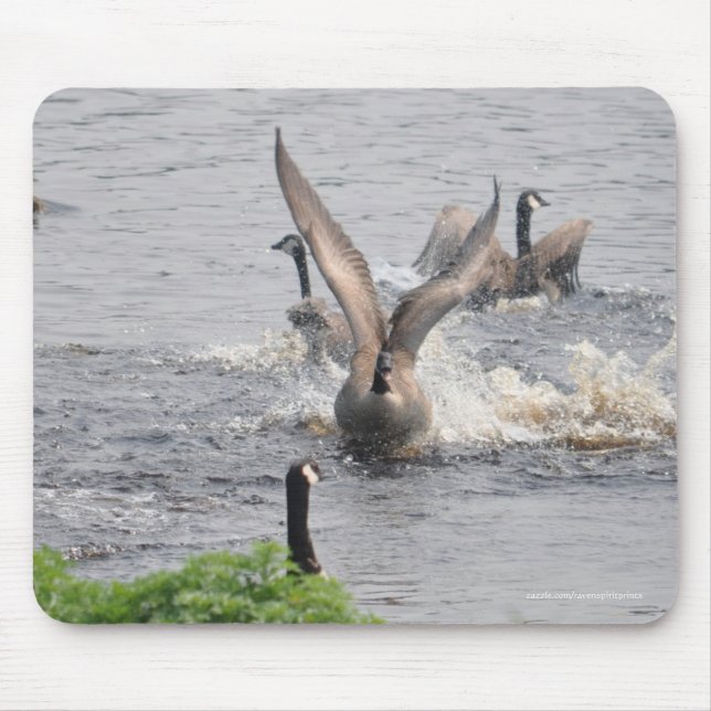 Preening Canada Geese & Water Wildlife Mouse Mat (Front)