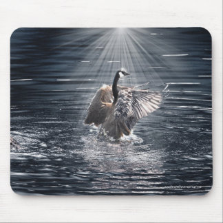 Preening Canada Goose & Water Wildlife Mouse Mat