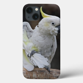 Preening Cockatoo iPad Case