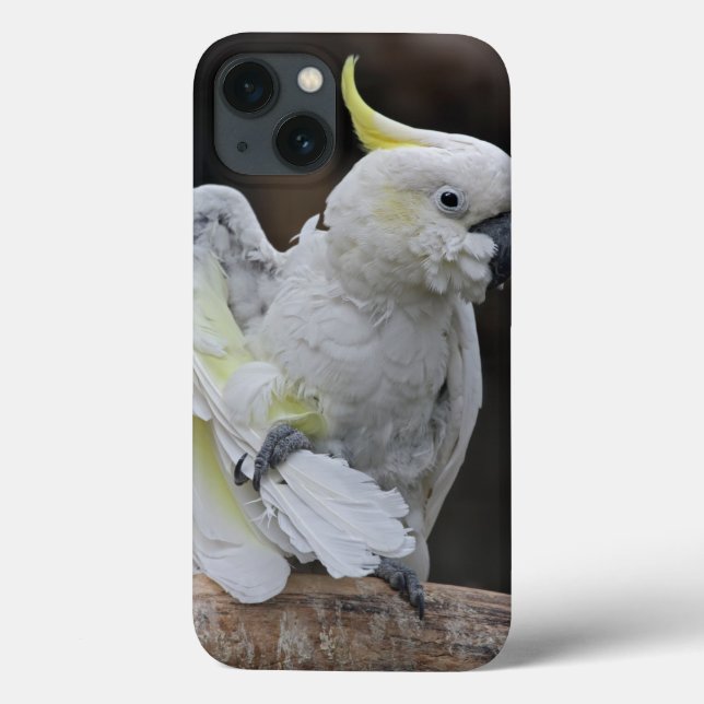 Preening Cockatoo iPad Case (Back)
