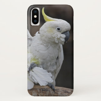Preening Cockatoo iPhone X Case