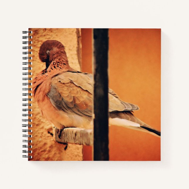 Preening Dove Notebook (Front)