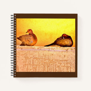 Preening Doves Notebook