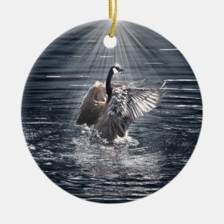Preening, Flapping Canada Goose Photo Ceramic Tree Decoration