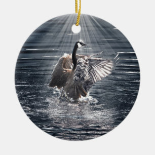 Preening, Flapping Wild Canada Goose Design Ceramic Tree Decoration