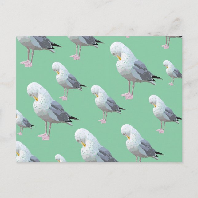 Preening Gull Pattern, Sketched Style on Green. Postcard (Front)