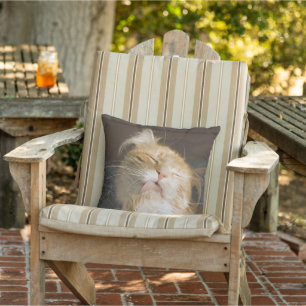 Preening Maine Coon Close Up Photograph Outdoor Cushion