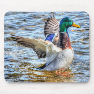 Preening Mallard Duck Birdlover Wildlife Mouse Mat