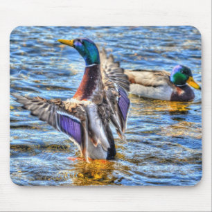 Preening Mallard Duck Birdlover Wildlife Mouse Mat
