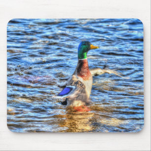 Preening Mallard Duck Birdlover Wildlife Mouse Mat