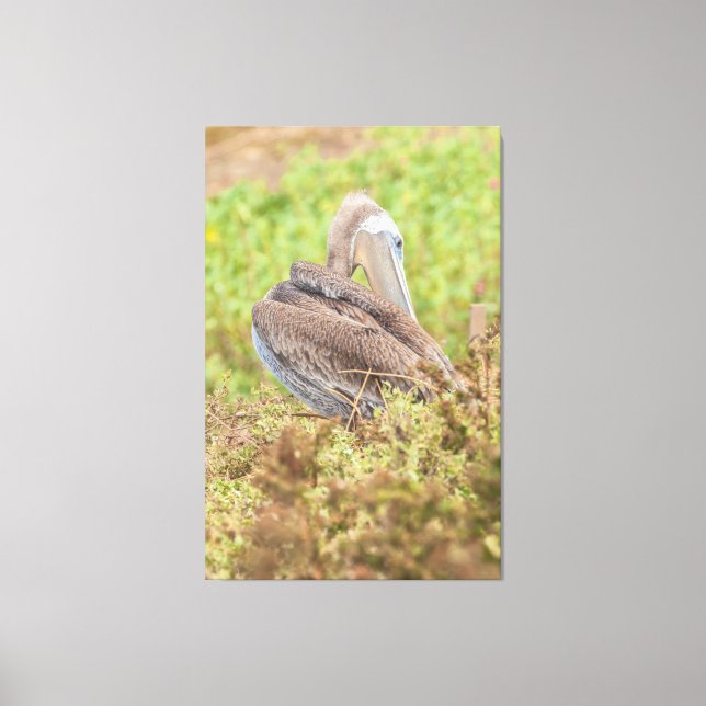 Preening Pelican Canvas Print (Front)