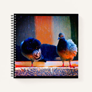 Preening Pigeons Notebook