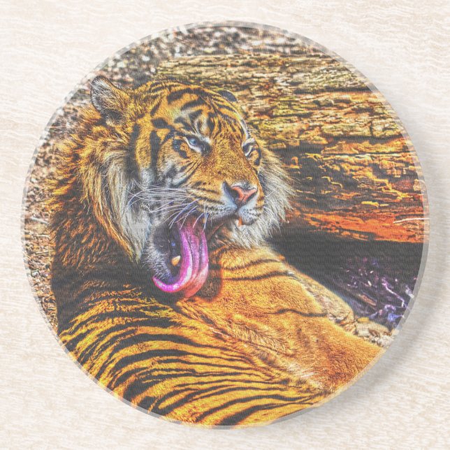 Preening Sumatran Tiger Big Cat Wildlife Art Coaster (Front)