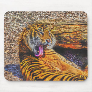 Preening Sumatran Tiger Big Cat Wildlife Art Mouse Mat