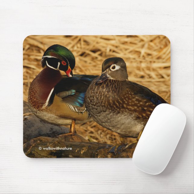 Preening Wood Ducks on Log Mouse Mat (With Mouse)