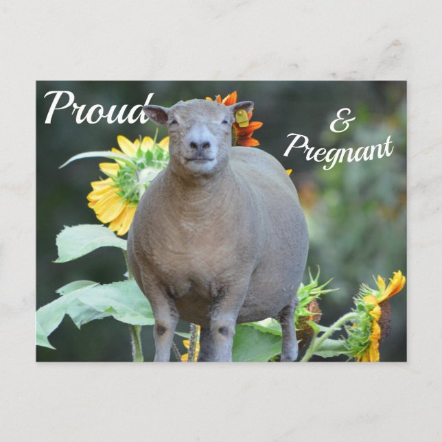 Pregnancy Announcement Card Quaint (Front)