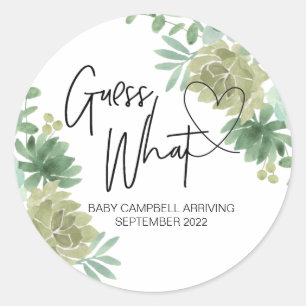 Pregnancy Announcement Guess What Baby Succulents Classic Round Sticker