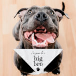 Pregnancy Announcement Pet Bandanna | Big Bro Whit<br><div class="desc">Small or large,  this pet bandanna can be used for dogs or cats. Minimal,  modern,  and customisable with your pet's name. 
What's cuter than announcing a pregnancy than with your fur child 🥰
All text is customisable ↣ just click the ‘Personalise’ button.</div>