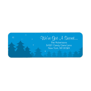 Pregnancy Christmas Return Address Label- Coming
