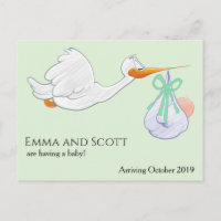 Pregnancy New Baby Arrival Stork Cute
