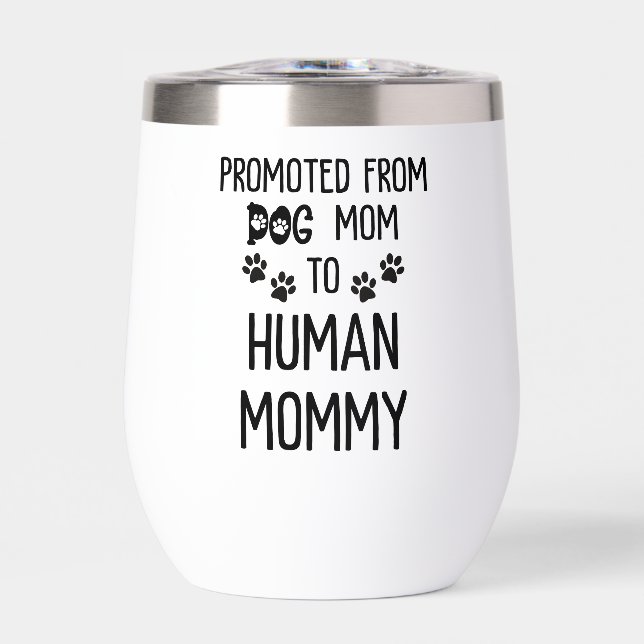 Pregnancy Reveal (Front)