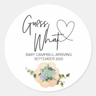 Pregnancy Reveal Guess What Baby Thanksgiving Classic Round Sticker