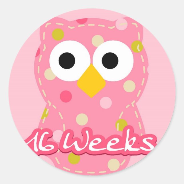 Pregnancy Sticker - Owl 16 Weeks (Front)