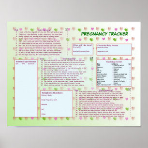 Pregnancy Tracker Poster