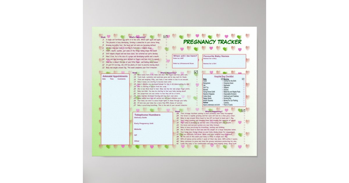 Pregnancy Tracker Poster | Zazzle