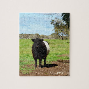 Pregnant Female Belted Galloway Cow, Jigsaw Puzzle